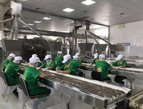 我市服裝輔料銷售工作成績顯著 互聯(lián)網(wǎng)營銷精準鏈接10萬粉絲 全網(wǎng)曝光量突破1億次